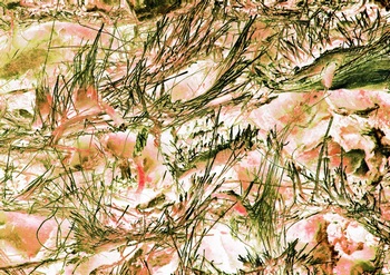 A 12A